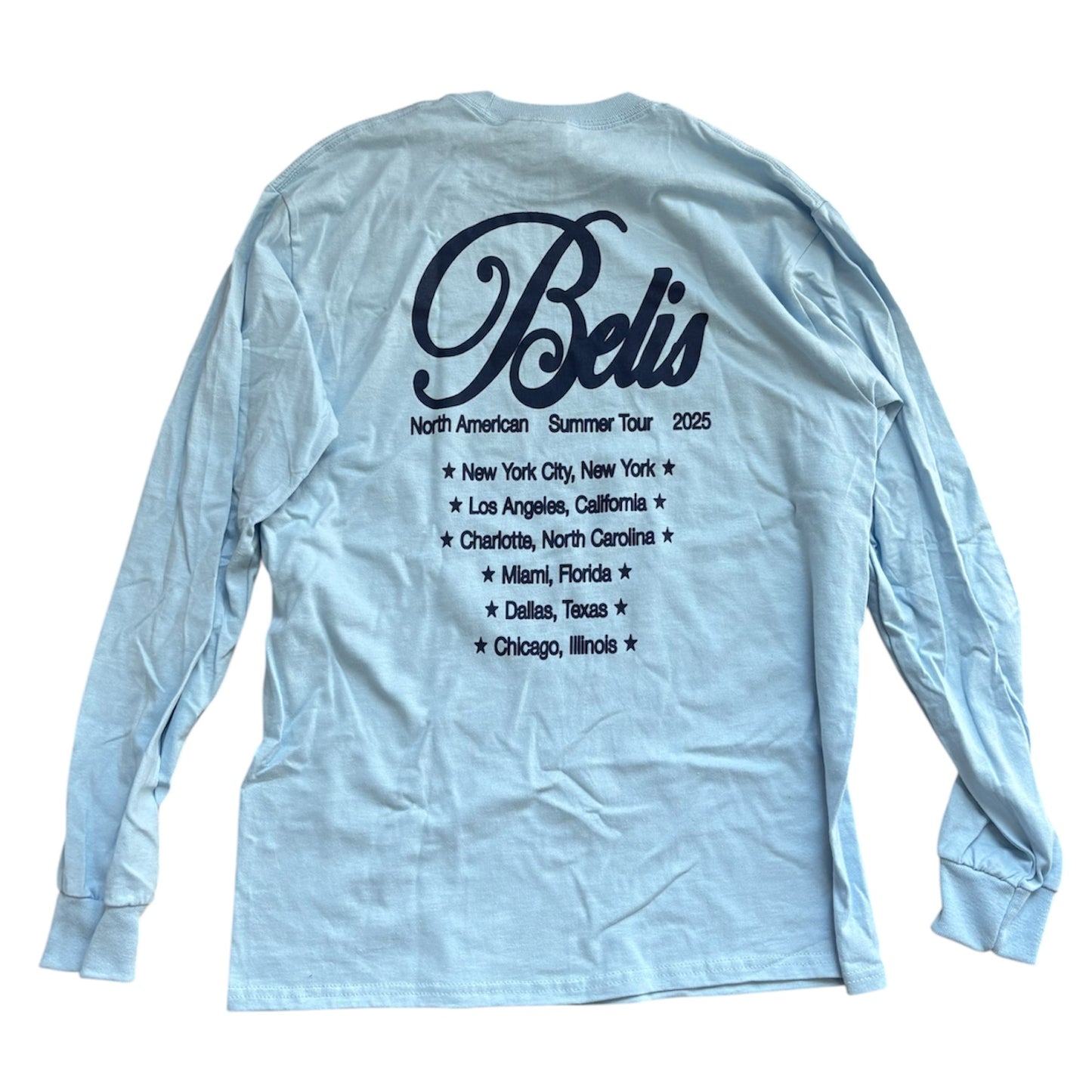 Charm Graphic Blue Longsleeve T-Shirt